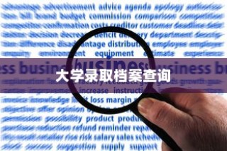 大学录取档案查询疑难解析，如何应对档案缺失的困扰？