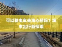 城市出行新探索，电车能否驰骋至海心桥？