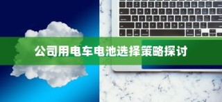 公司电车电池选型策略探讨