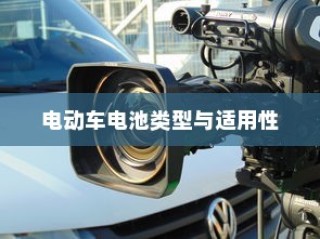 公司用车电池选型指南，电动车电池类型与适用性分析