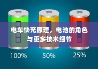 复旦大学2024年录取分数预测解析报告