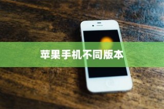 苹果手机卖什么版本，全面解析不同版本的特点与价值