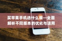 买苹果手机选什么版—全面解析不同版本的优劣与适用场景