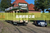 电车时代品牌选择攻略，明智决策你的出行之选