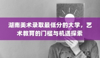 湖南美术录取最低分的大学，探索艺术教育的门槛与机遇