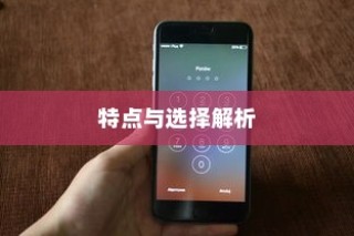苹果手机卖什么版本，全面解析不同版本的特点与选择