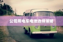 公司电车电池选型策略