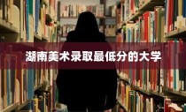 湖南美术录取最低分的大学，艺术之门的探索之旅