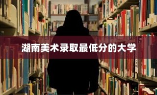 湖南美术录取最低分的大学，艺术之门的探索之旅