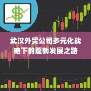 武汉外贸公司多元化战略下的蓬勃发展轨迹