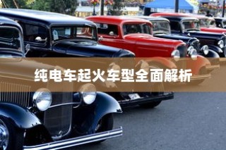 纯电车起火车型深度剖析