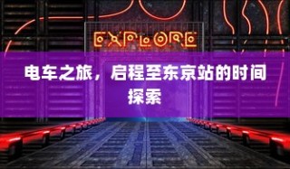 纯电车起火事件深度解析，涉及车型与原因的探讨及应对之道