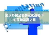 武汉外贸公司多元化战略下的蓬勃发展轨迹