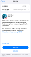 iOS 18.5 RC卫星连接独家亮相iPhone 13系列，国行版遗憾错过