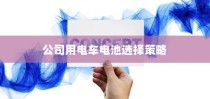 公司电车电池选型策略