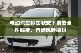 电动汽车停车状态下的安全性解析，自燃风险探讨与防范措施