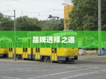 电车时代品牌选择攻略，明智决策你的出行之选