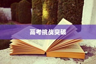 高考奋斗之路，从600到650分的挑战与突破之旅