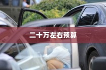 二十万左右预算纯电车选购攻略，如何挑选最佳车型？