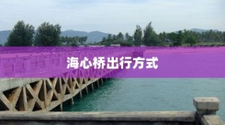 海心桥出行攻略，电车通行与最佳路线探索