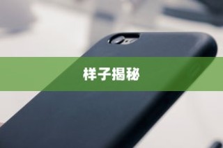 苹果iPhone 15手机壳样子揭秘