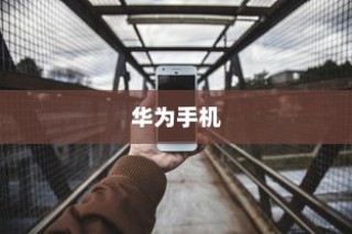 华为手机上切换双系统密码重新设置的方法