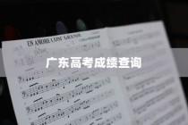 广东高考成绩查询指南，详细步骤与注意事项