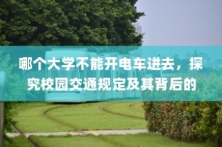 禁电车入校园，探究校园交通规定背后的原因与影响