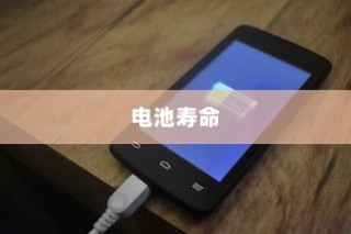 电动车充电习惯对电池寿命影响解析，隔天充电是否可行？