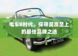 电车B时代，品质至上，探寻最佳品牌之选