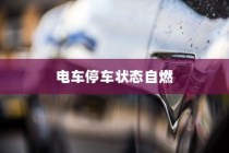 电动汽车安全性解析，停车状态下自燃风险探讨