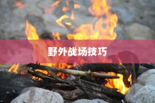 手游卢仙打野攻略，玩转野外战场技巧秘籍