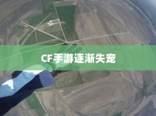 福建2024年高考命题趋势分析及试题难度预测