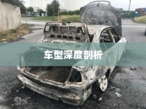 纯电车起火事件背后的车型深度探究