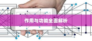 智能路由器，定义、作用与功能的全面解析