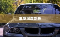 纯电车起火事件，车型深度解析与探讨