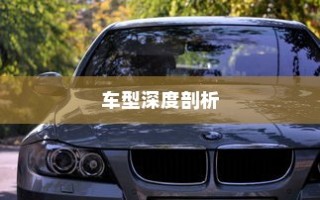 纯电车起火事件，车型深度解析与探讨
