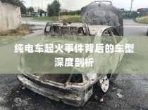纯电车起火事件背后的车型深度探究