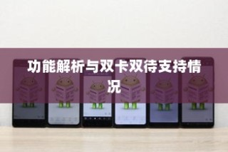 vivo Z5手机，功能解析与双卡双待支持情况探讨
