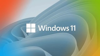 Windows 11如何关闭不必要的系统服务
