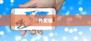 外贸猫，深度结构探索与未来发展趋势展望