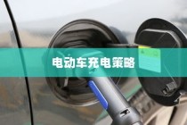 电动车充电策略深度解析，隔天充电的灵活性与潜在影响探讨