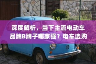 主流电动车品牌B牌子深度解析，选购指南带你了解哪家强！