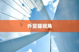 外贸猫视角下的长远观察与结构转型深度探讨