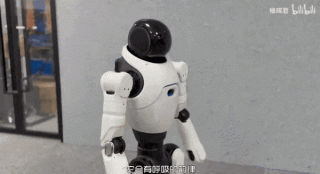 稚晖君人形机器人，葡萄缝针神技再现
