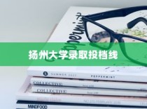 江苏扬州大学录取投档线解析与探索
