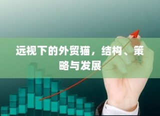 外贸猫，结构、策略与发展视角下的深度洞察