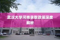 武汉大学河南录取政策全面解析