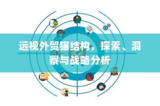 远视外贸猫结构，深度探索、战略洞察与分析