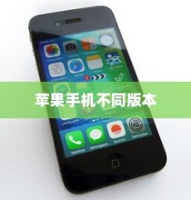 买苹果手机选什么版，全面解析不同版本的差异与选择策略